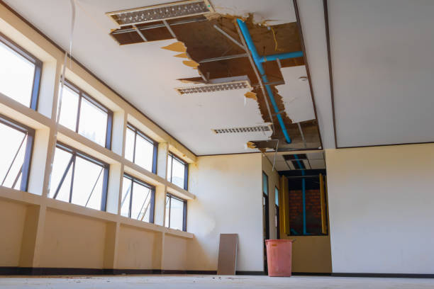Best Basement water damage restoration  in Savage, MD