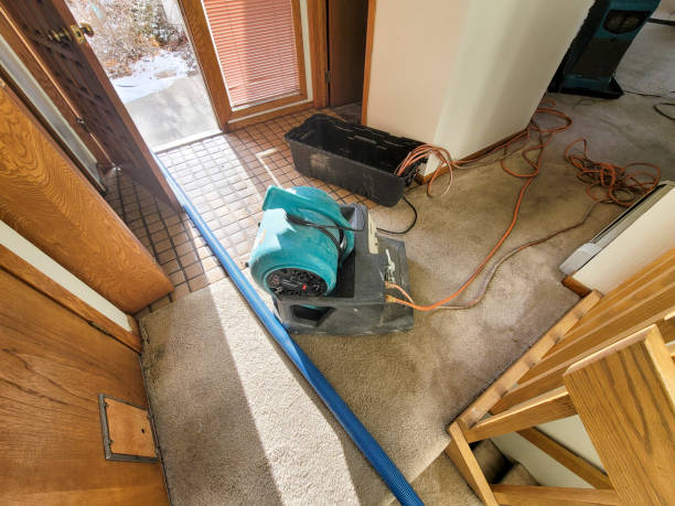 Water damage restoration insurance claims in Savage, MD