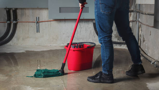 Best Residential water damage restoration  in Savage, MD