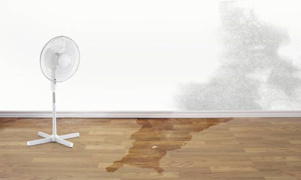 Best Water damage restoration insurance claims  in Savage, MD