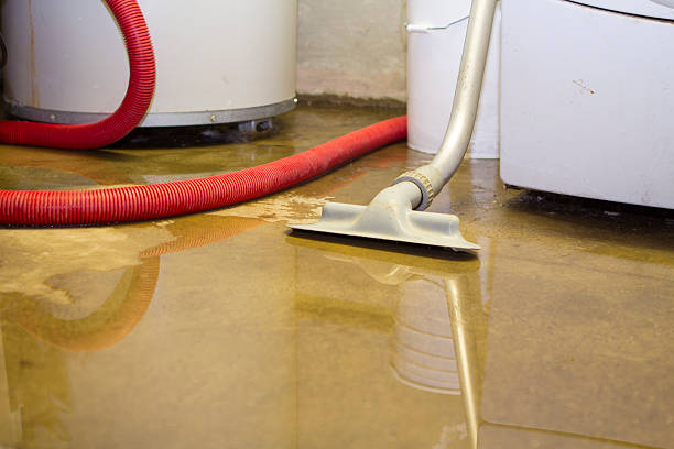 Best 24/7 water damage repair  in Savage, MD